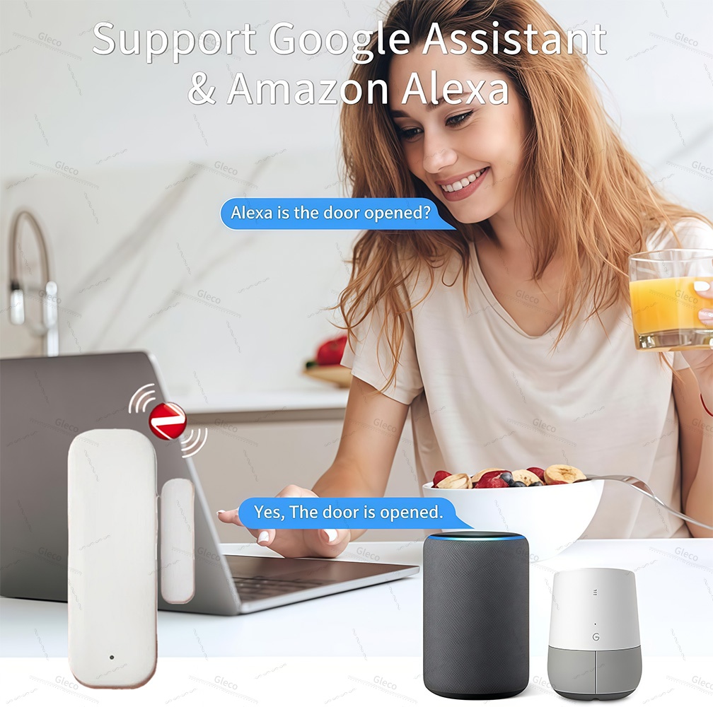 زيجبي نافذة مستشعر الباب كشف م - مراجعة Home Automation Ideas وسعره
